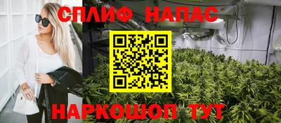 каннабис Будённовск