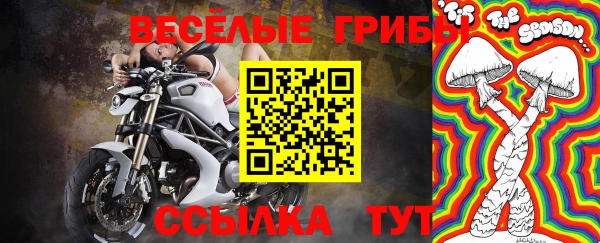 Галлюциногенные грибы ЛСД  Вход с VPN  Галлюциногенные грибы GOLDEN TEACHER  Краснознаменск 